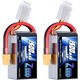 LiPo Battery